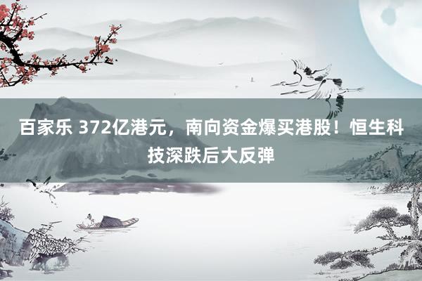 百家乐 372亿港元，南向资金爆买港股！恒生科技深跌后大反弹