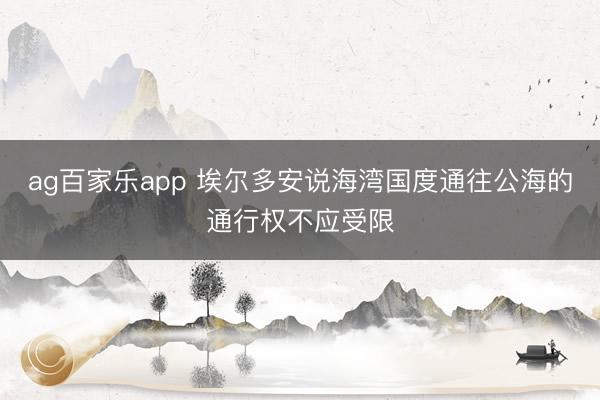 ag百家乐app 埃尔多安说海湾国度通往公海的通行权不应受限